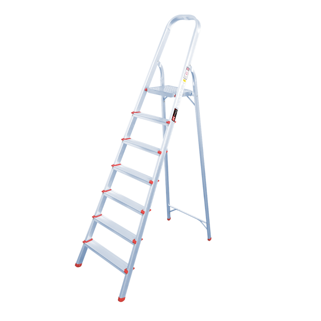 LADDER