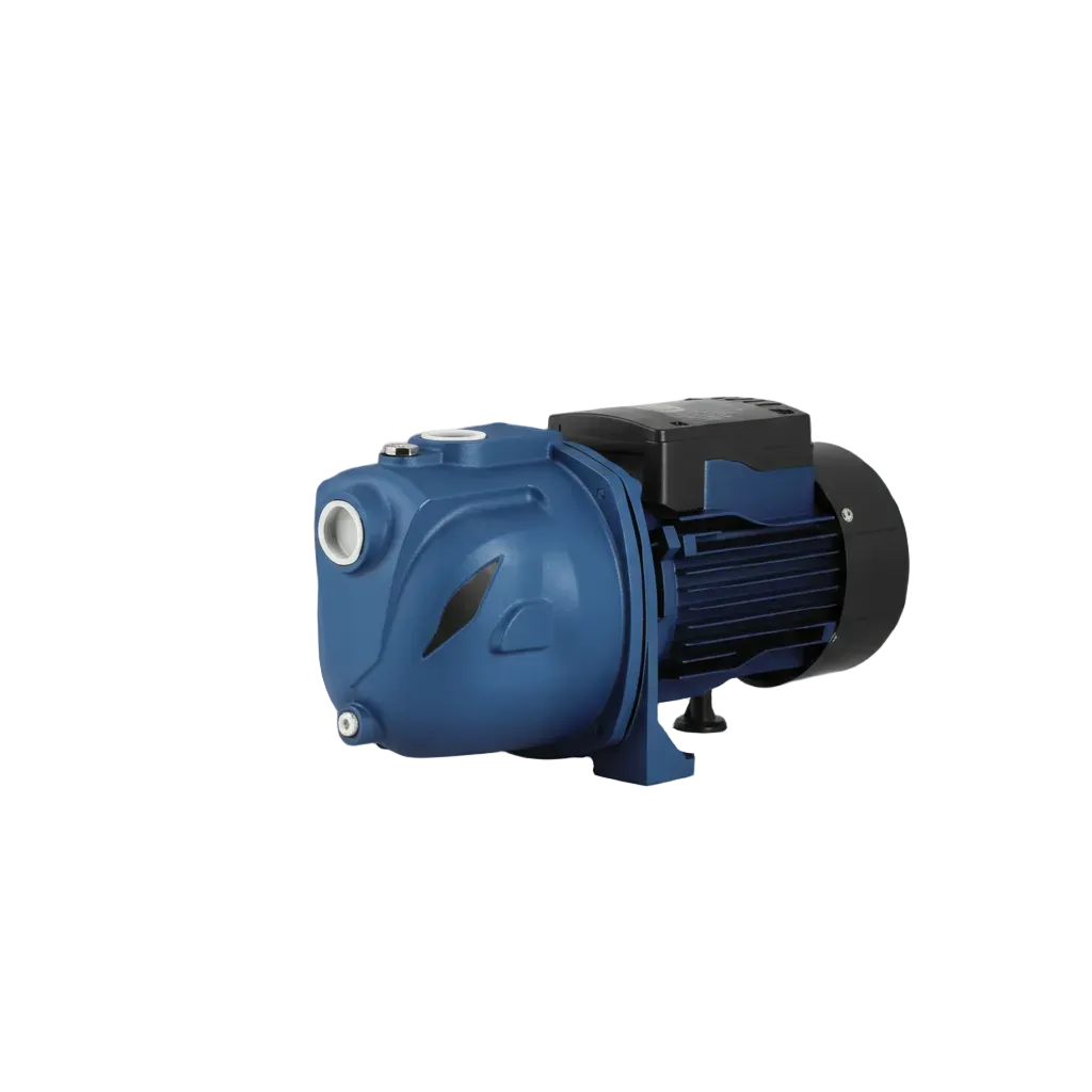 Aqua Italia Electric Water Pump