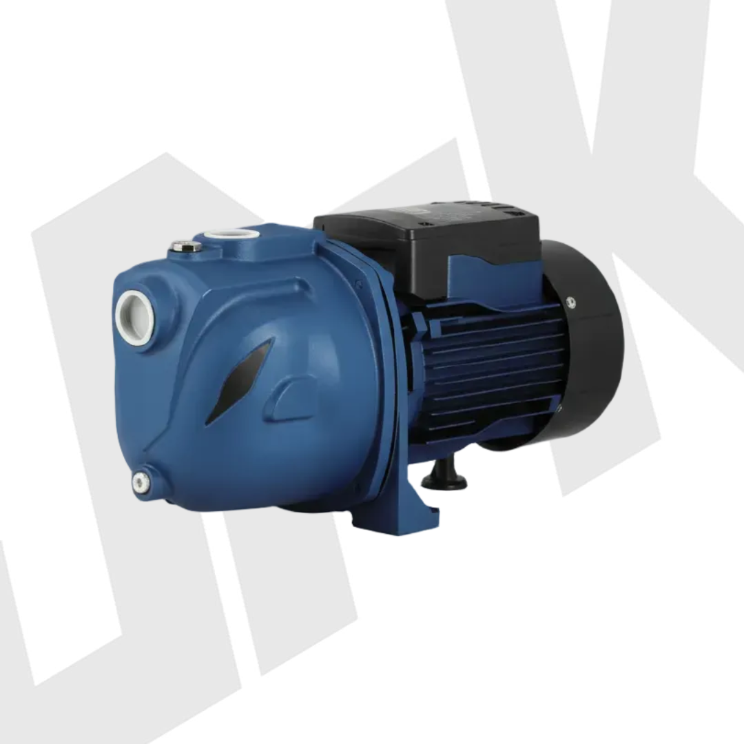 Aqua Italia Electric Water Pump