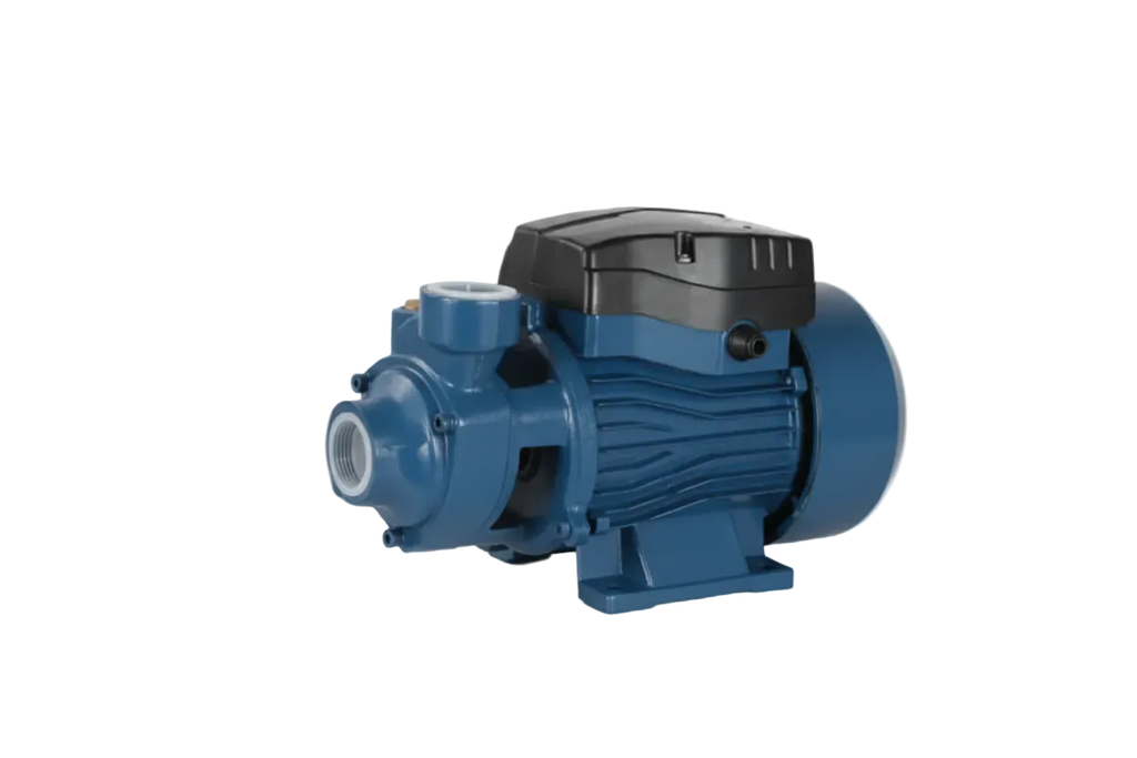 Aqua Italia Electric Water Pump